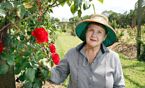 Laurel Sommerfeld is one of many property owners who have been angered by her land being trampled all over by workers from the Northern Pipeline Alliance. FILE IMAGE Laurel Sommerfeld is one of many property owners who have been angered by her land being trampled all over by workers from the Northern Pipeline Alliance. FILE IMAGE